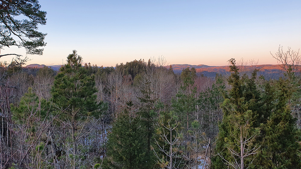 Utsyn nordover. Jeg står litt nord for toppen av Budalsåsen Nordvest (163). Skogklynga som stikker opp midt i bildet, er Øktekollen (162).