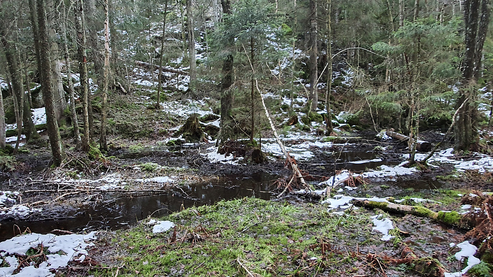 I dalsøkket nordøst for Gampedalsåsen (179) var det godt med vann i den lille vannsiget. 