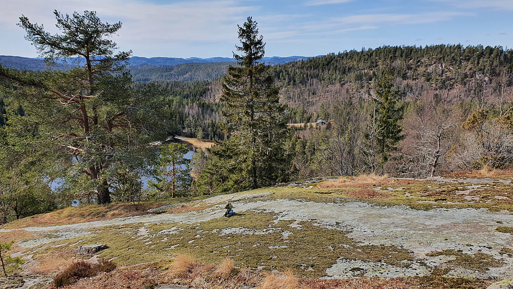 Oppe på ryggen nord for Åsvannet, som ses nedenfor mellom trærne. Åsen i bakgrunnen helt til høyre er Grasås (356).