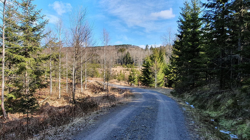 Toppen langt bak og midt i bildet, er Høymyrpynt (379). Sett fra grusveien rett nord for Hibergås (243).