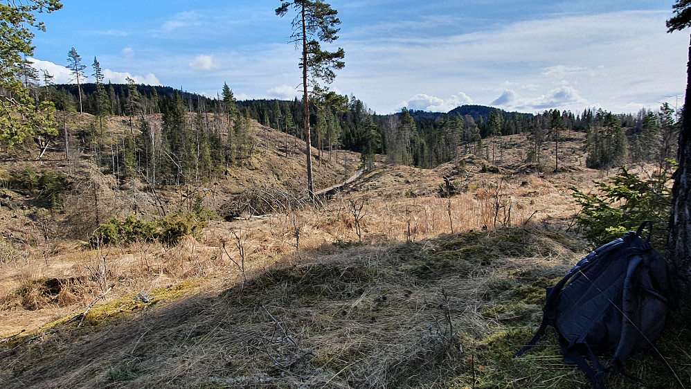 På dagens siste toppunkt, Sørøst for Sagstua (202). Åsen oppe til venstre er Holtehedde (405). Kulen bakerst og litt til høyre, er Grasås (356).