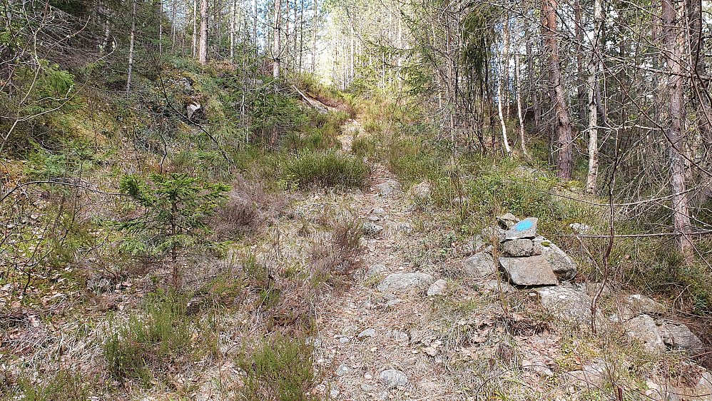 Blåmerket sti overtar der grusveien slutter i Grasdalen.