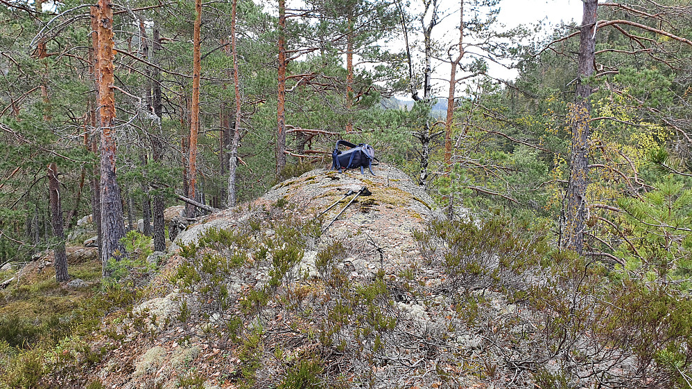 Toppunktet på Sør for Svartdalsheia (316).