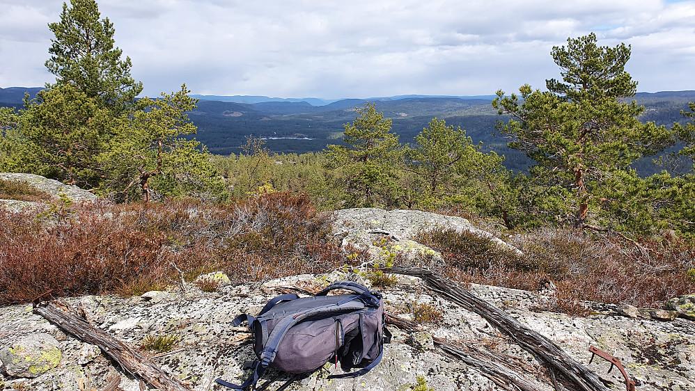 Toppunktet på Bjørndalsfjellet (405). Utsikt mot N/NØ.
