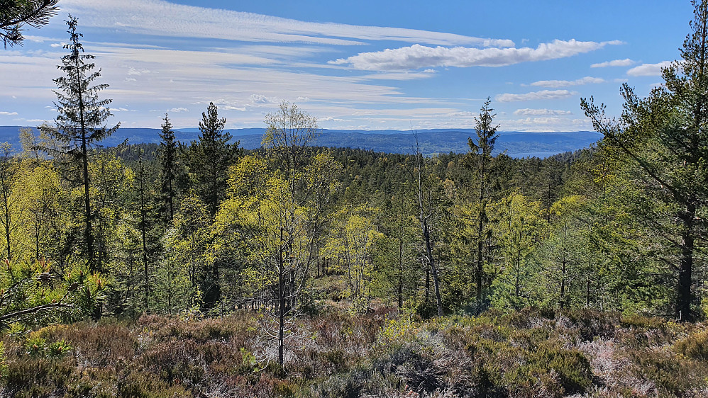 Utsikt vestover fra Kuven. Jeg står litt nordvest på topplatået. Til høyre i bildet kan Drammensfjorden ses.