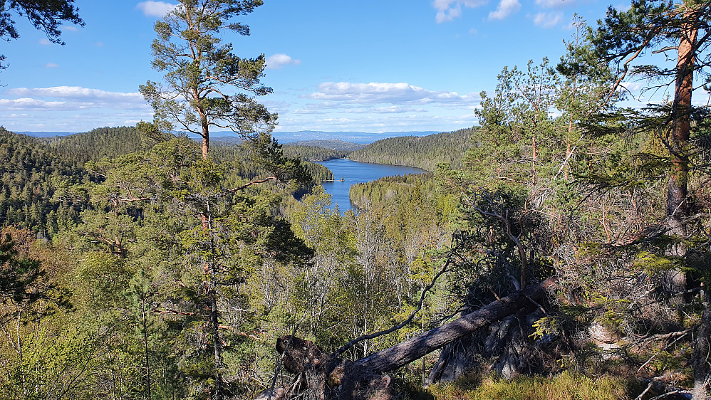 Jeg står litt nord for toppunktet på V2 for Grauteruddalen (260). Herfra var det utsikt mot Setervannet.