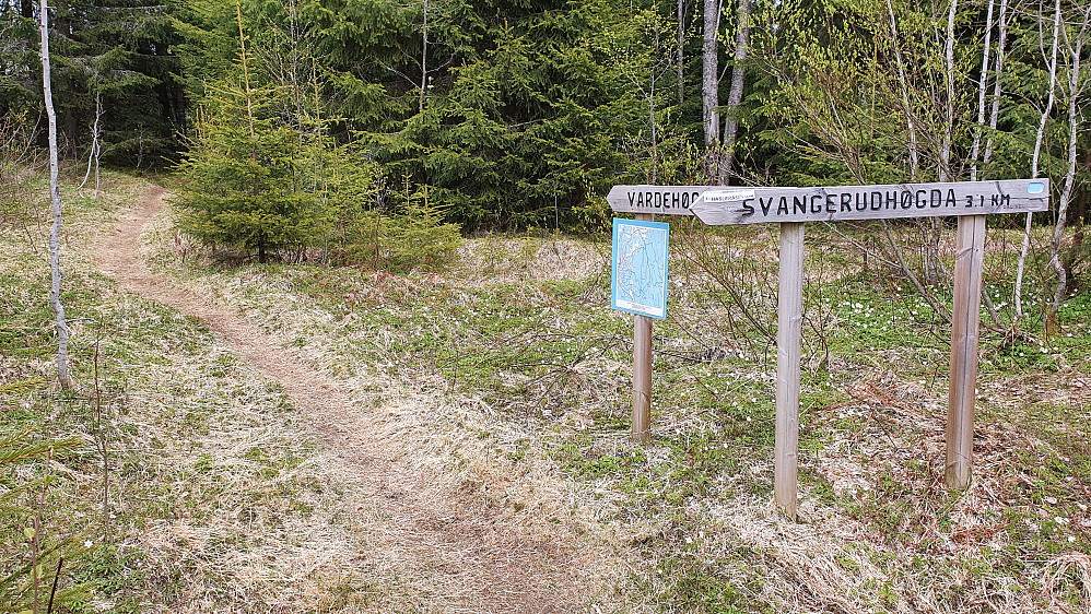 Fra skogsbilveien like nord for Ålborgseter går det sti østover til bl.a. Vardehøgda (360), og i tillegg til parkeringen på Amundsbråtan.