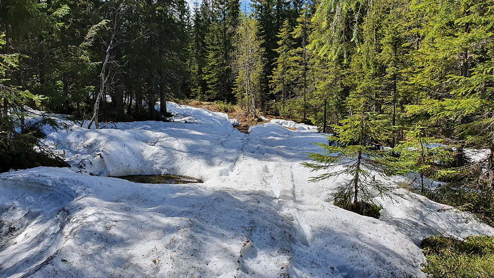 Her går det liksom en sti... Dette var et av de mer snørike partiene hvor jeg ikke hadde noe annet valg enn å vasse over.