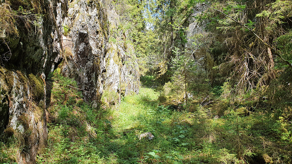 Noen meter lengre fram blir Svendalen til en trang kløft med bratte fjellsider.