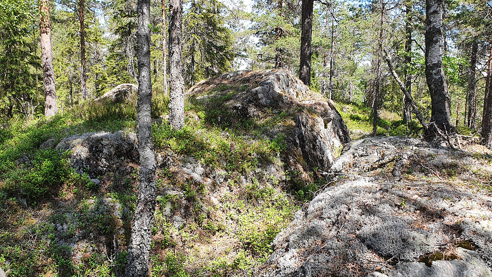 Bergknausen midt i bildet er høyeste punkt på Kinnåsen (319).