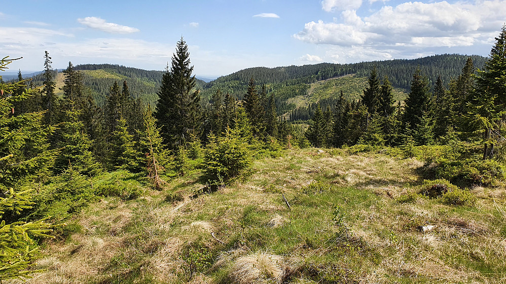 I hogstfeltet litt nedenfor Nilsbu. Utsikt mot S/SØ. Bak til venstre er Liskollen (640). Åsen helt til høyre er Liskampen (687).