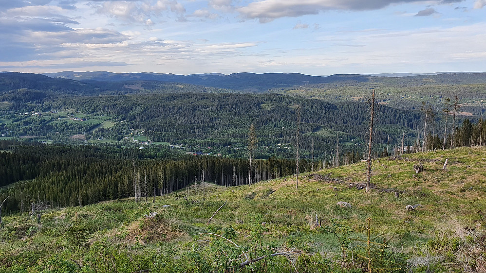 I det svære hogstfeltet i nordsiden på Liskollen (640). Her ser vi ned i dalføret som går nordover fra Hurdal Verk, med Garsjøen litt oppe i åsen til venstre.