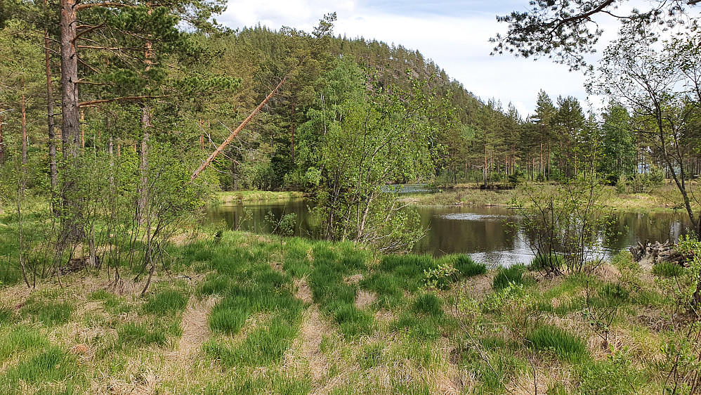 På Landtangen, hvor man så vidt kan se traktorsporene i gresset. Ikke langt ned til vannflaten på Sperillen her... I bakgrunnen er Storøya (254).