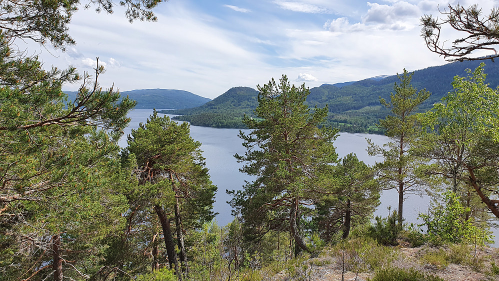 Fra Storøya er det litt utsikt sørover. Åsen midt i bildet er Strandekollen (400), og den var mitt neste turmål.