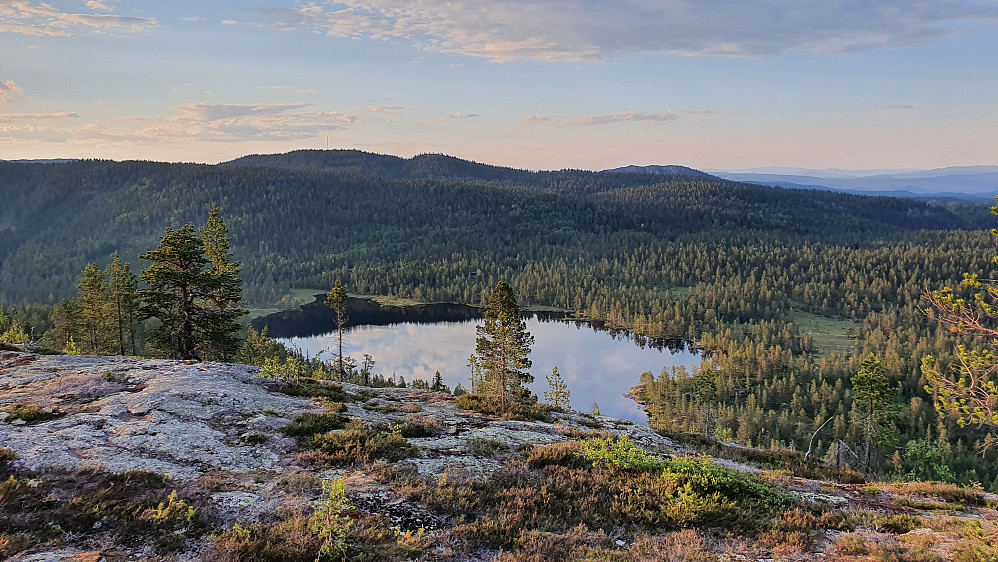 På Gvitåsen, i nærheten av høyeste punkt. Utsikt nordover. Vannet nedenfor er Nordre Damtjønn. Tekslehogget (721) stikker opp i bakgrunnen til høyre.