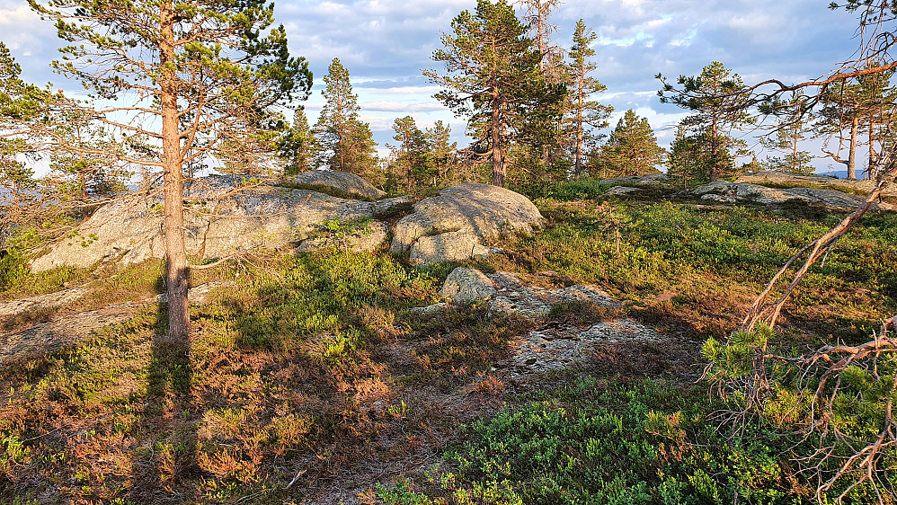 Berget på venstre side er markert som toppen på Gvitåsen (686). Den slake kulen litt lengre bak og til høyre har omtrent samme høyde.