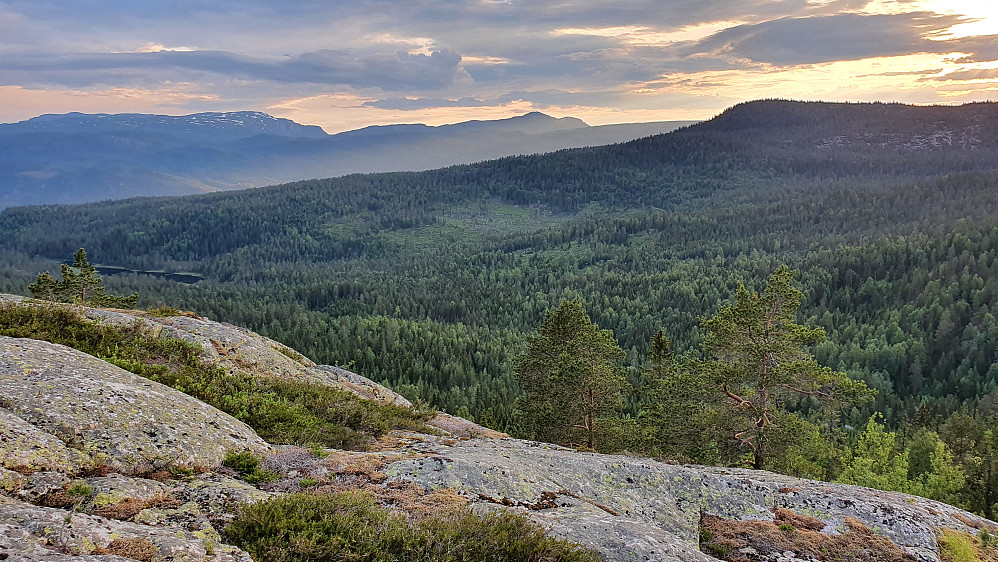 På ryggen N/NV for toppen av Gvitåsen, med utmerket utsikt vestover. Nordre del av Blefjell er langt bak til venstre. Midt i bildet er Senhovd (1142).