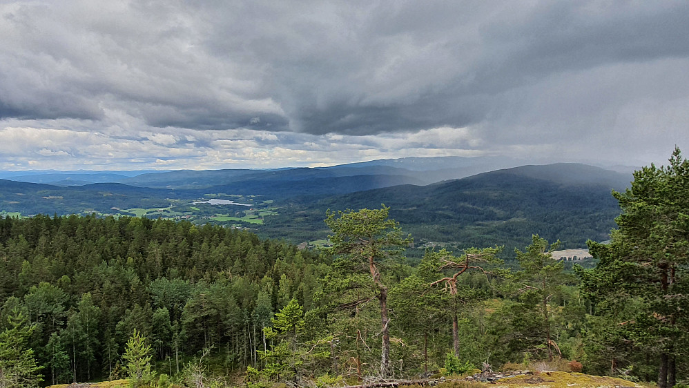 Utsikt mot vest/sørvest fra Jonskollen (526). Regnbygen som straks nådde meg ses til høyre i bildet.