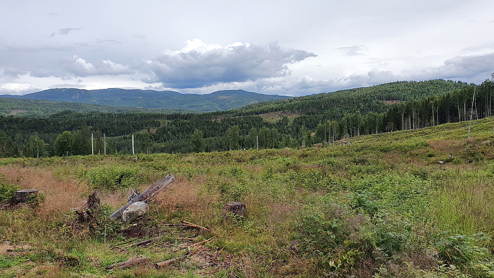 Fra siste del av turen hvor jeg vandret nordøstover på grusvei. Her med utsikt mot nord. Åsen helt til høyre er Blekåsen (412).