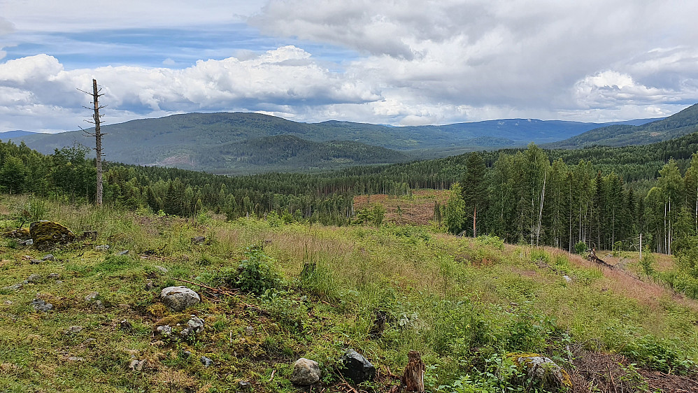 På grusveien litt før jeg passerte Dagali. Dalføret som går oppover mot høyre er Strømsoddbygda. Den store åsen til venstre er Pipenatten (606).