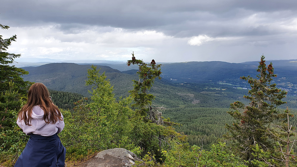 Fra det flotte utsiktspunktet noen meter nordøst for toppunktet på Dronningkollen, ser vi her mot nord/nordøst. Nedenfor til høyre er Numedal.