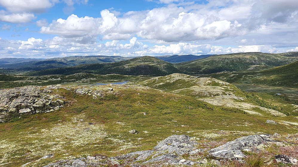 Utsikt nordover fra toppen av Kråkenatten (1155). Etter denne toppen fortsatte jeg på den lyse ryggen til høyre i bildet.