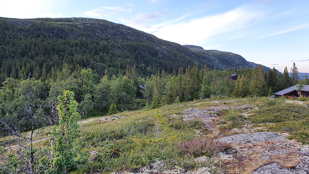 Her gikk stien fra Krosstjørnhaugfjellet (989) og ned mot bilen over en liten kul hvor jeg fikk utsyn tilbake mot den bratte lia ned fra Slokoåsen (1142), som er til venstre.