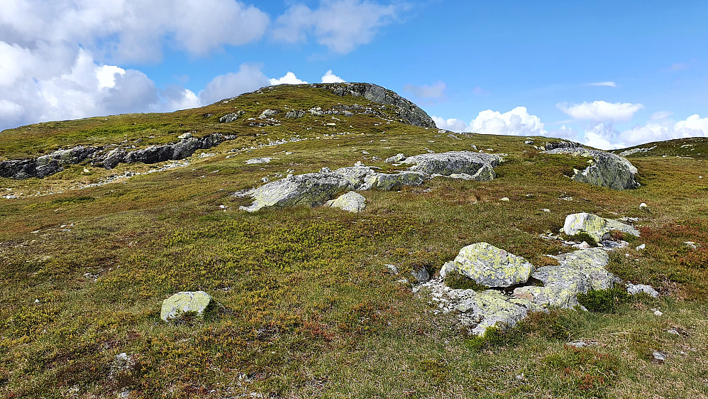 Siste stykket mot toppen av Blåtjønnfjellet (1234). For et herlig terreng å vandre i.