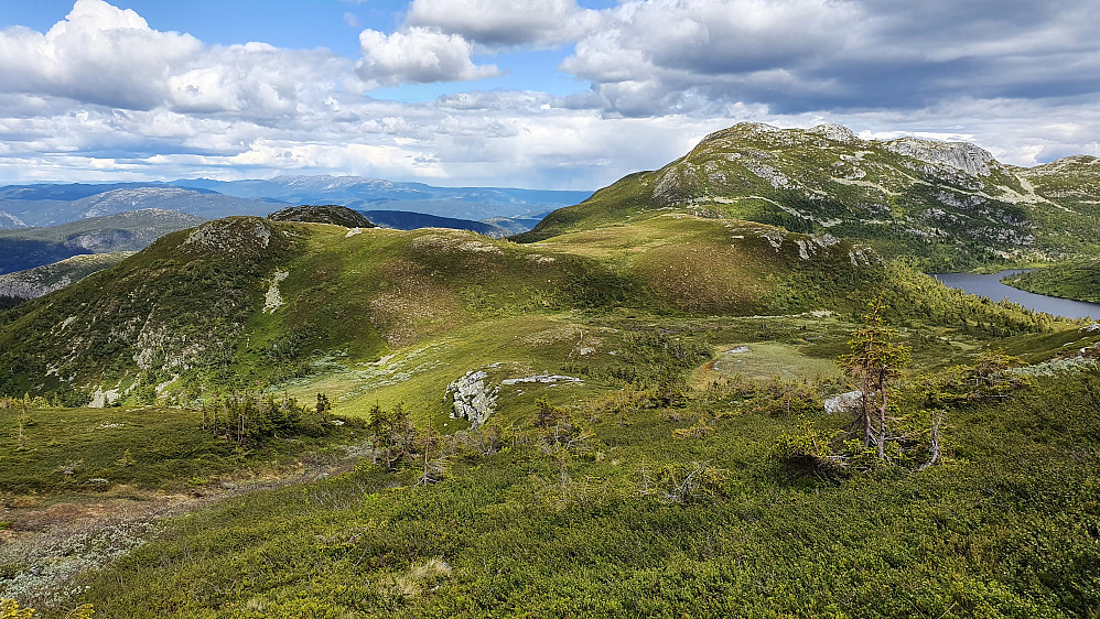 Jeg står på østsiden av bekken som renner ut av Flisetjønn. Bekken ses nede til venstre, men noen sti er ikke så lett å se her. Bak til hø. er Heksfjell (1221). Bildet er tatt mot NØ.