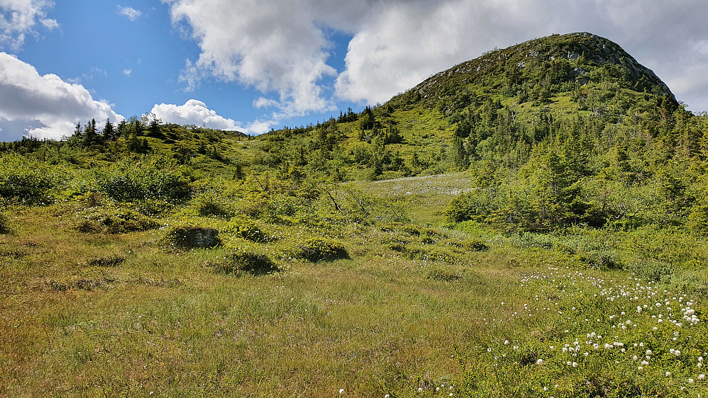 Oppe til høyre er Stornatten Nordøst (1062). Her står jeg sørøst for denne toppen hvor det var mer myrete, like ved laveste punkt og bekken mellom to små tjern.