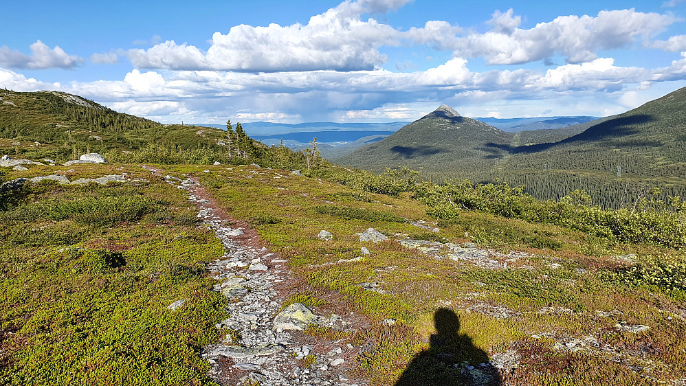 Stien jeg vandret på fra Homtjønn og sørover. Her er det like før jeg møtte stien som jeg fulgte på starten av turen. Utsikt nedover i Slåkådalen. Fjellet til høyre er Himingen.