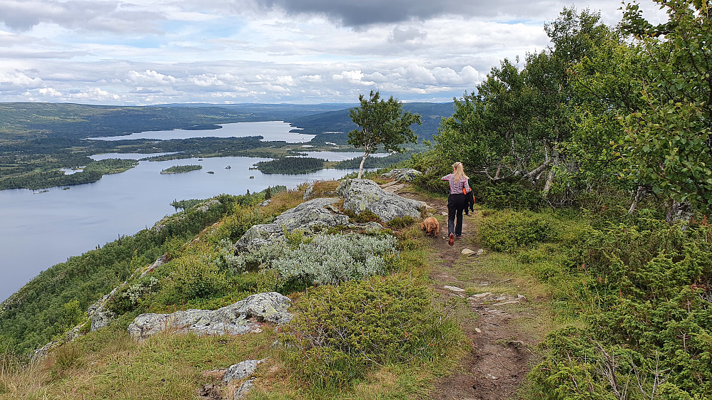 Luna og Julie har begynt på returen. Her ser vi østover. Innsjøen nede til venstre er Helsingvatnet, og det lengre bak er Storevatnet.