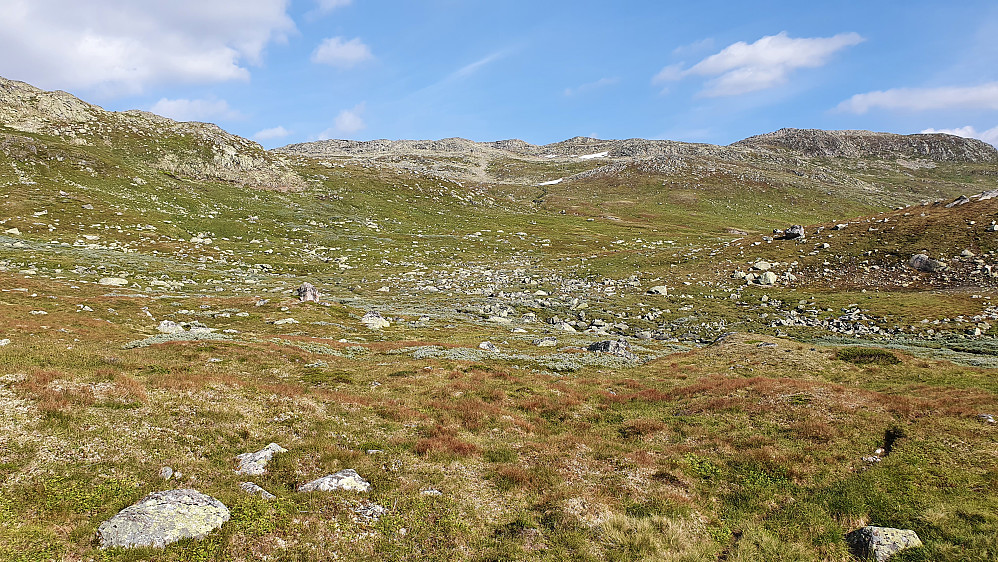 Her har jeg forlatt stien oppe i fjellsiden rett øst for Væting og går i retning Husnuten (1609). Selve toppen ses ikke her.