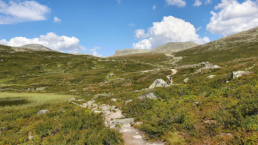 Tydelig og velbrukt sti mot Ranastongi. Litt av Ranastongi-platået er det flate fjellet i bakgrunnen, omtrent midt i bildet.