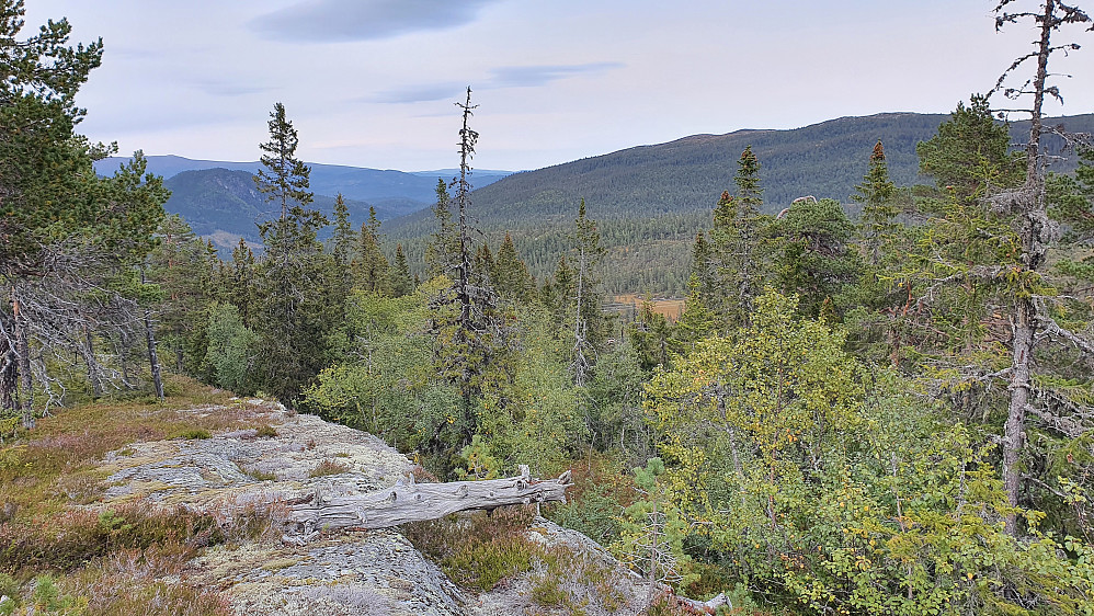 På vei nedover nordryggen på Nysethøgde (809). Her med utsikt mot nordøst. Til høyre er Slettefjell (905).