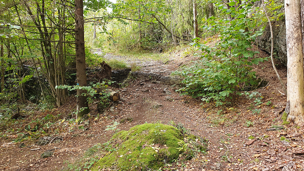 På stien jeg fulgte til toppen av Høgenhei (148). Her fra returen, på ca 120 meters høyde.