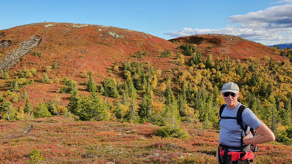 Fine farger i fjellet på denne tiden. Her er vi på vei ned fra Raudfjellet og ser mot Kraknatten. Stien til topps kan ses i den røde og oransje lyngen.