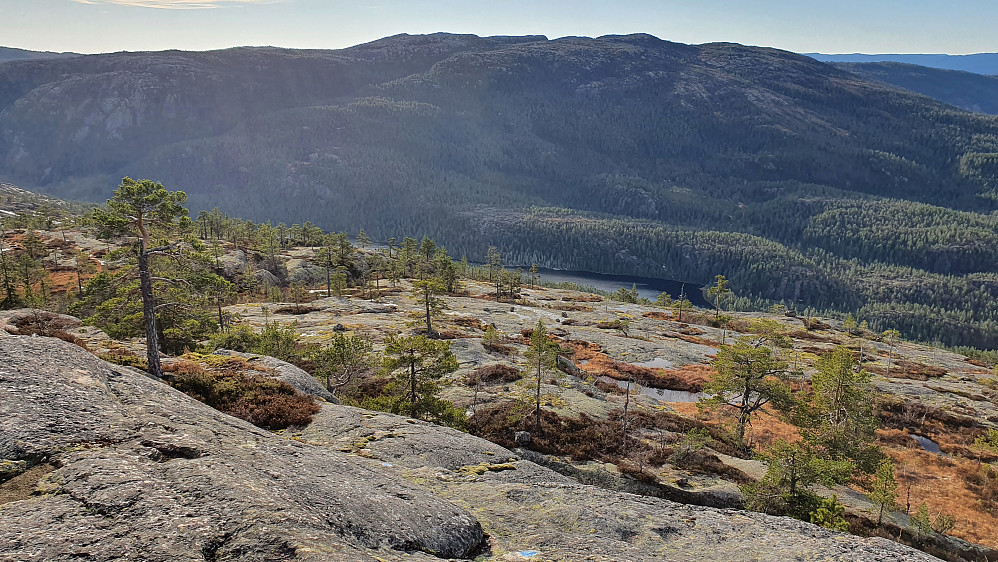 Stilig natur her i sørsiden på Fagerliheii, med spredt furuskog på blanke svaberg. Noe mer utfordrende å bevege seg på i regnvær...