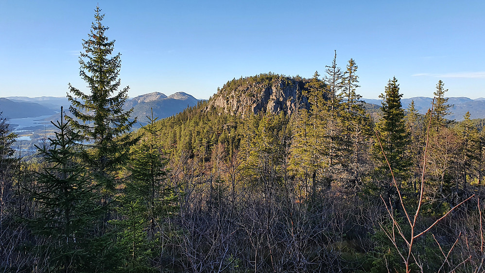 Skurven (805) sett fra sørøst, mens jeg vandret ned fra Venelifjellet. Noe mer til venstre og lengre bak, ses Roholtfjellet.