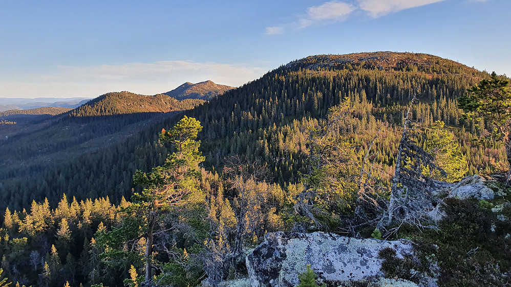 Utsikt mot sørøst fra Skurven. Til høyre er Venelifjellet (900). Lengre bak og litt til venstre, ses Kollingan (909).