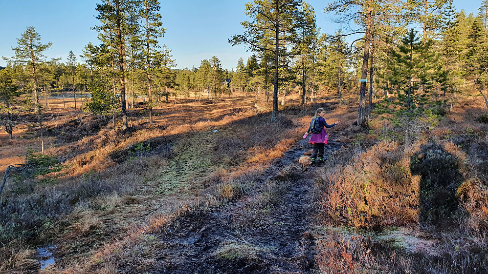 Frida og Luna i stikrysset hvor vi tok til høyre. I bakgrunnen til venstre skimtes Øvre Tretjenn mellom trærne.