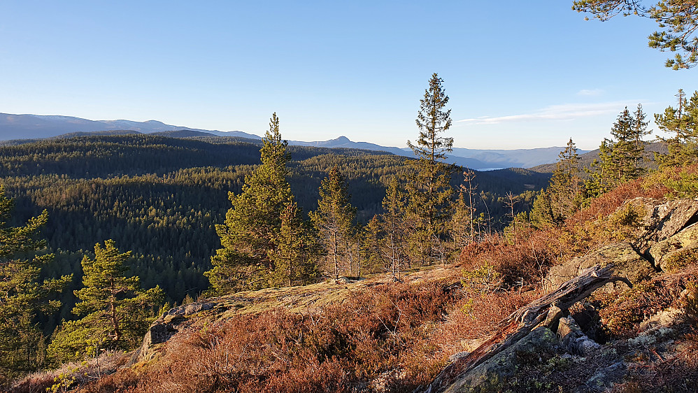 I siste stigningen mot Høgnipa (660), med utsikt mot nordvest. Norefjell helt til venstre i bakgrunnen. Den tydelige toppen midt i bildet er Hestgjuvnatten (1068).