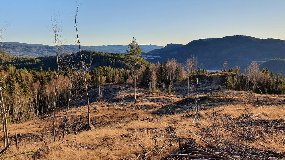 Fin utsikt fra hogstfeltet like sør for toppen av Ørsteinåsen (479). I bakgrunnen til høyre er Åslandåsen (680).