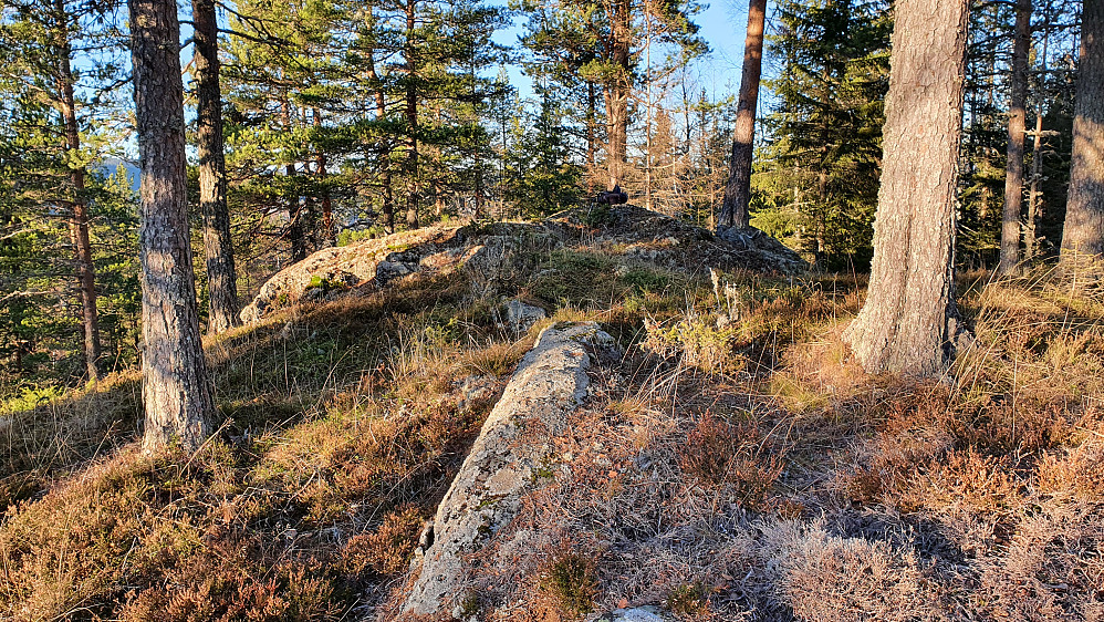 Sekken min ligger på toppen av Ørsteinåsen (479), noen meter lengre fremme midt i bildet.