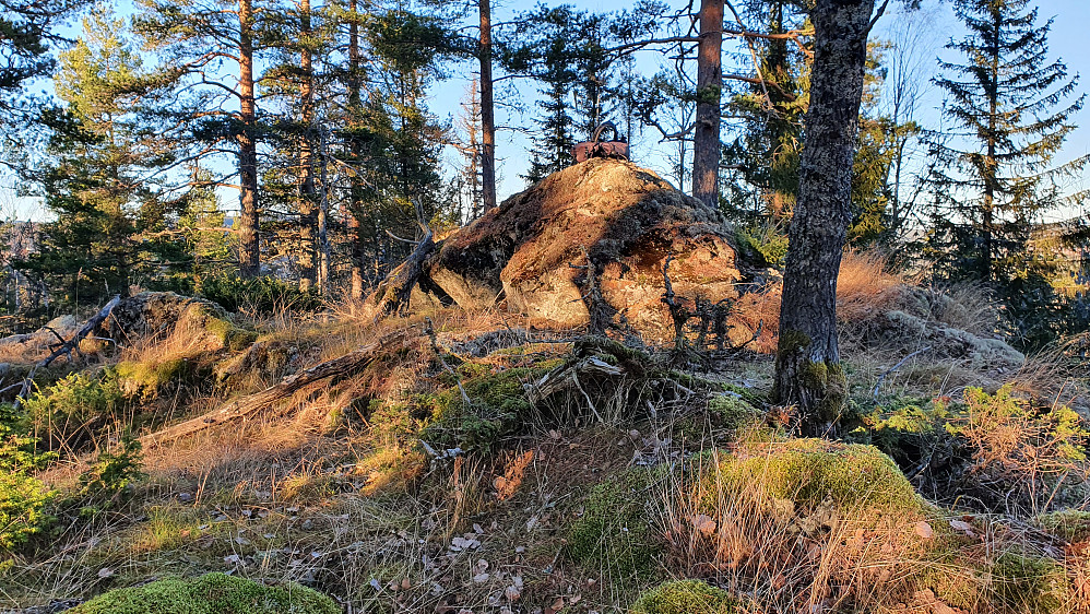 Toppunktet på Øst for Ørsteinåsen (441) var denne markerte og mosegrodde bergknausen.