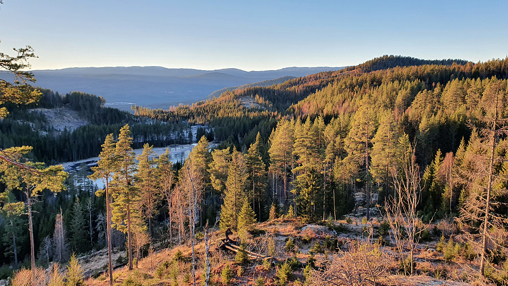 Utsikt vestover fra hogstfeltet på den vestre delen av Kronsetåsen (457). Toppen til høyre i bildet er Ørsteinåsen (479), som jeg først var oppom.