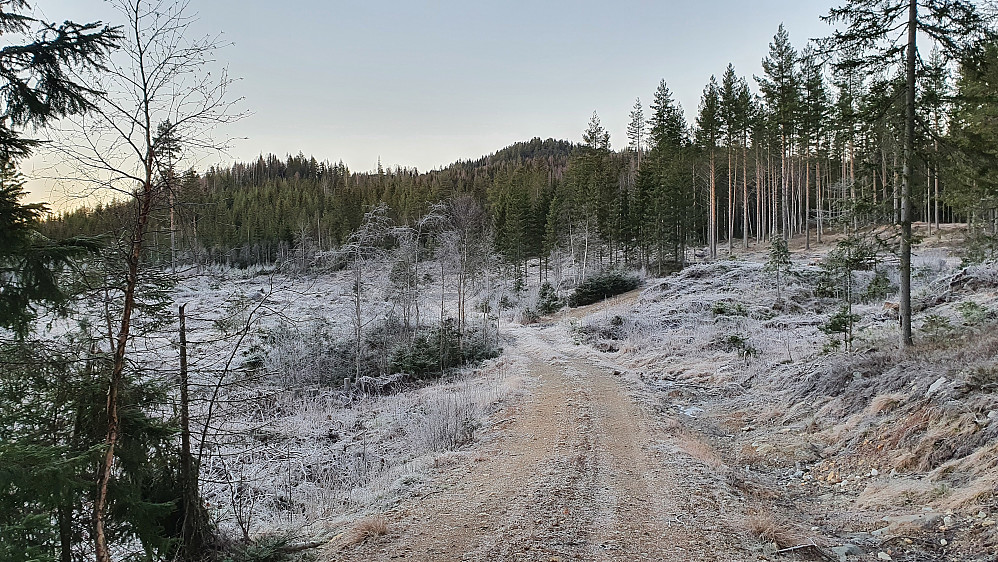 På veien som er inntegnet som kjerrevei på kartet, like vest for Nedre Bringetjennet. Toppen i bakgrunnen midt i bildet, er Ørsteinåsen (479).