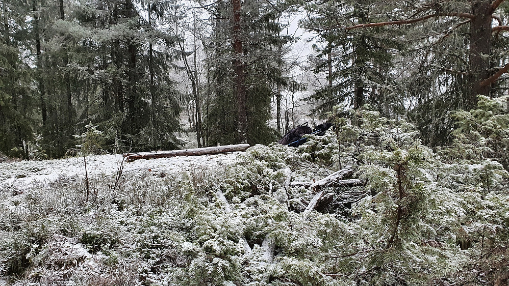 Toppunktet på Slåtteberget (504). Noe mer åpent var det på den nordre kulen, som skimtes mellom trærne bak sekken min. Muligens mer utsyn der, når det ikke er tåke...