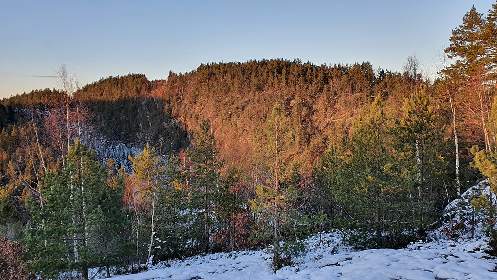 Fra utsiktspunktet litt vest for toppen av Steinsvikkollen (143), ser man bl.a. rett over mot Jakobåsen (171).