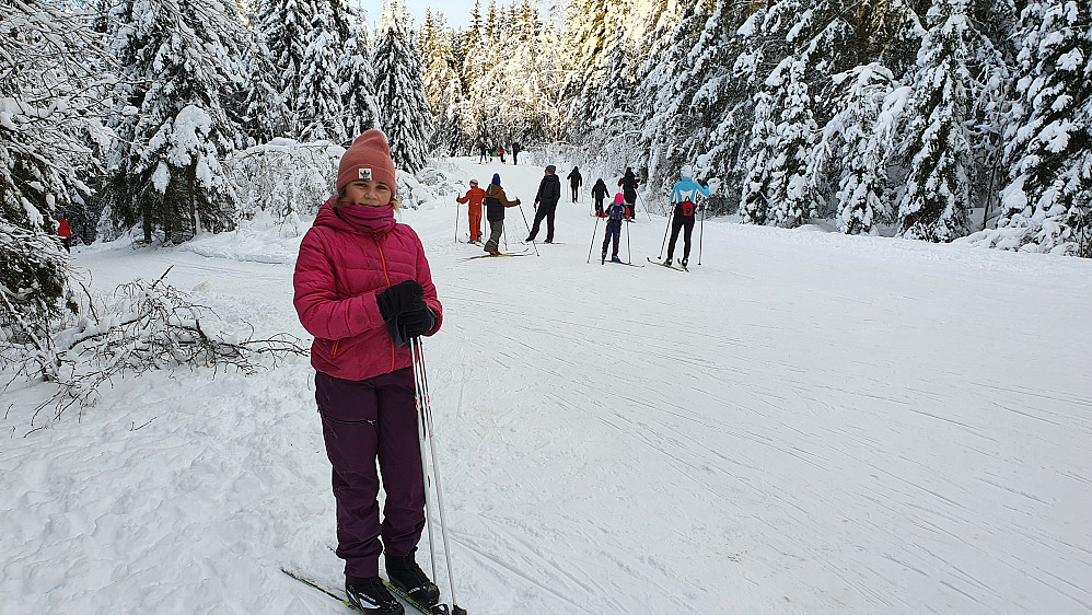 I krysset hvor vi møtte løypa på Lyfjellveien. 